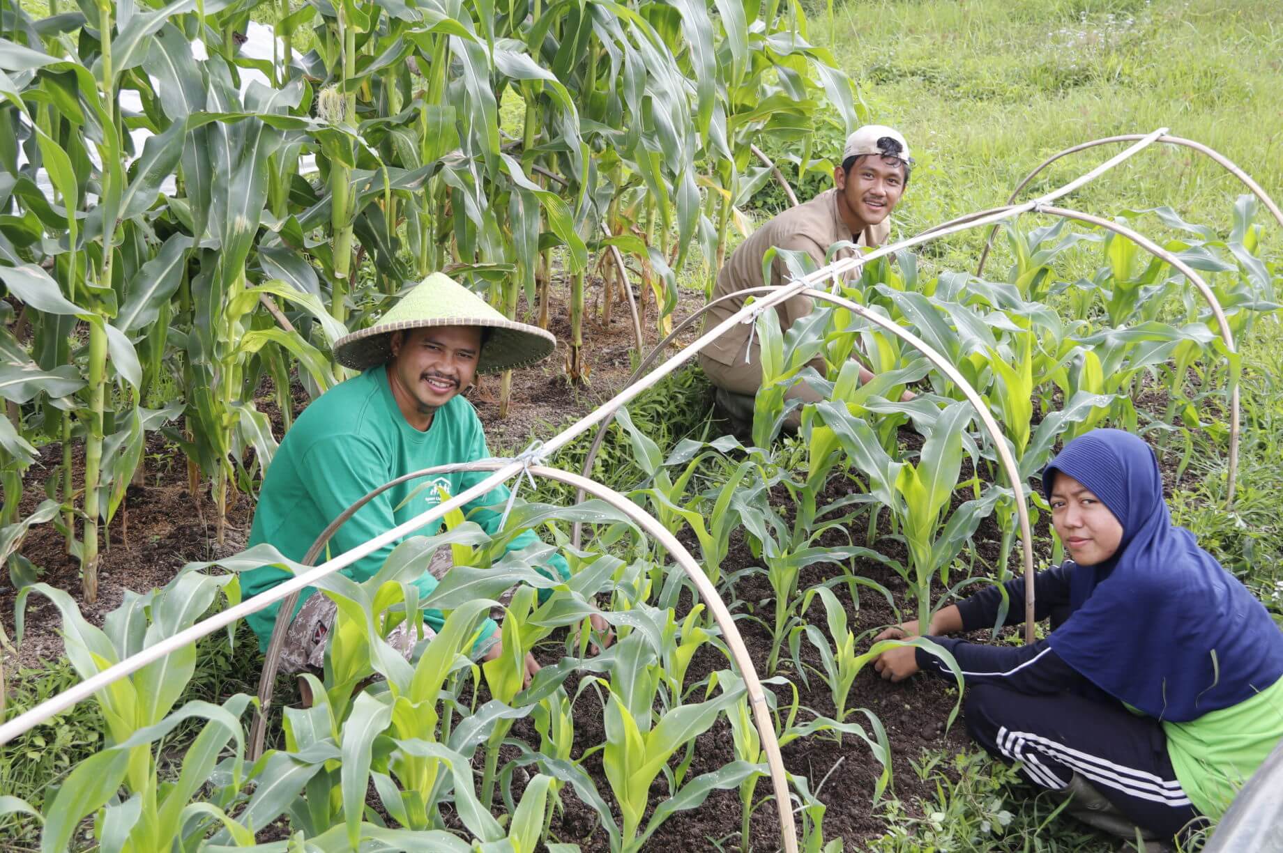 Indonesia Food Security