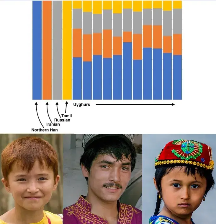 Uyghurs migration
