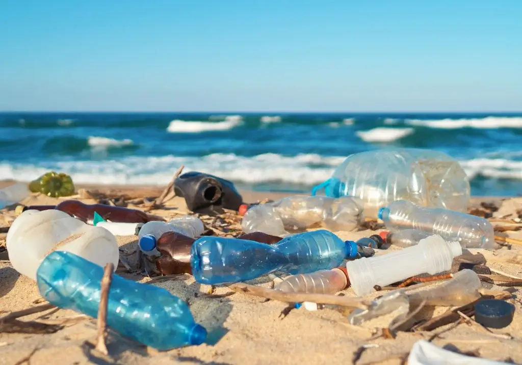 Can the problem of plastic pollution ever be solved