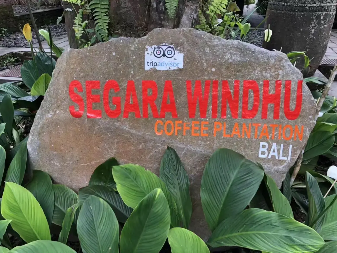 Segara Windhu Coffee Plantation