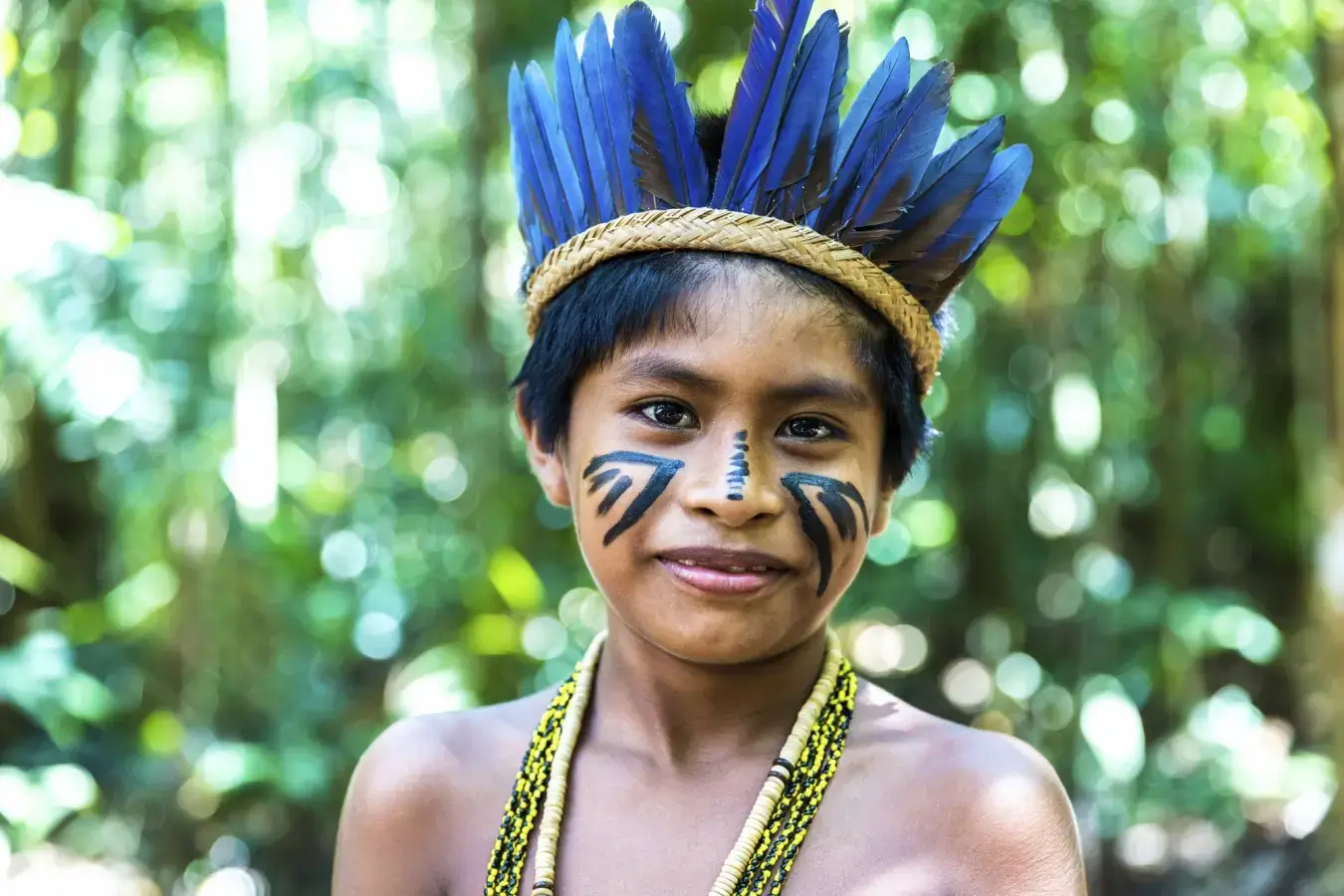 Ireland joins Amazonian Sustainable Development